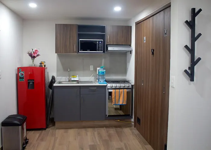 Departamento En Izazaga Cerca Del Zocalo-cdmx 5 Personas Apartment